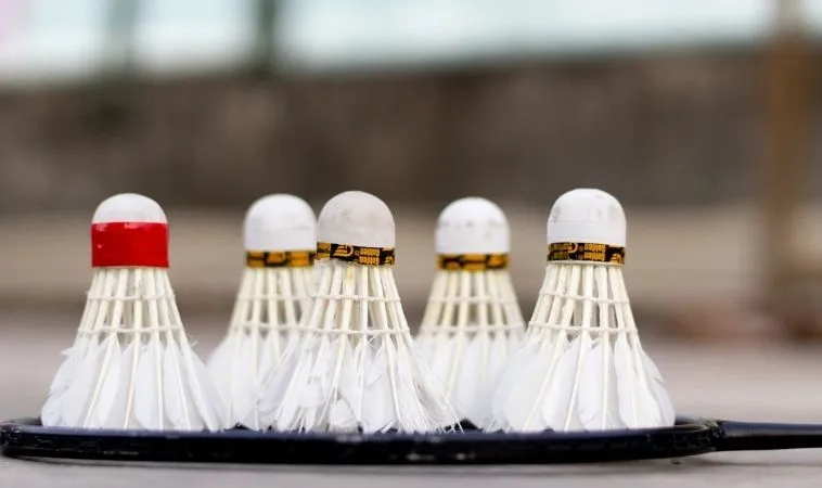 cầu lông tại K9CC